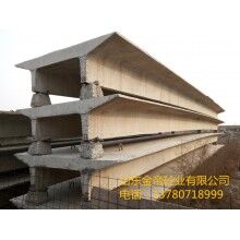 加工混凝土雙T板，大型預(yù)應(yīng)力雙T板，山東雙T板